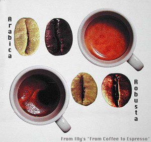espresso.arabvsrobusta.jpg